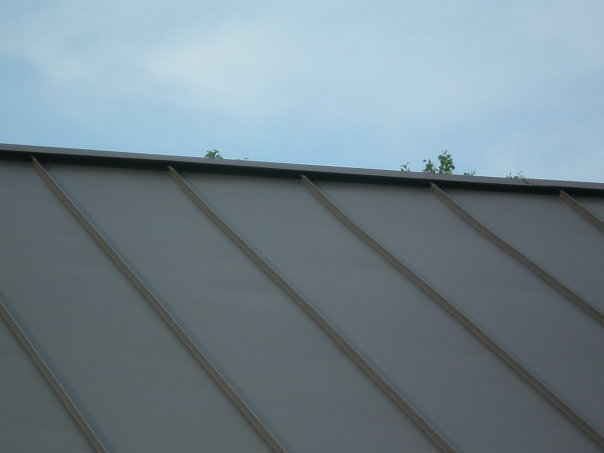 Metal Roofs in Arlington VA