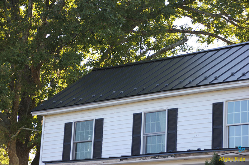 Install Snowbirds On Metal Roofing